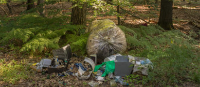 Müllecken im Wald: fotografieren und der Stadtreinigung meldenFoto: Adobestock